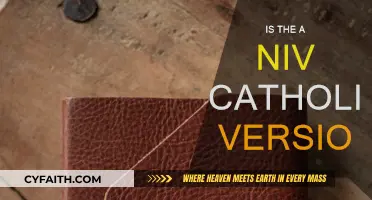 The NIV Bible: Is it Catholic-Friendly?