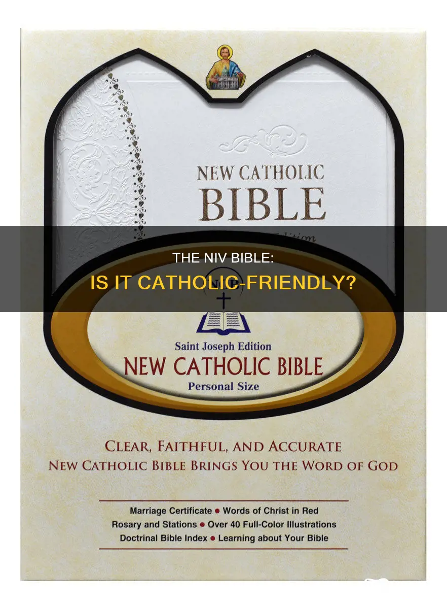 is the a niv catholic version