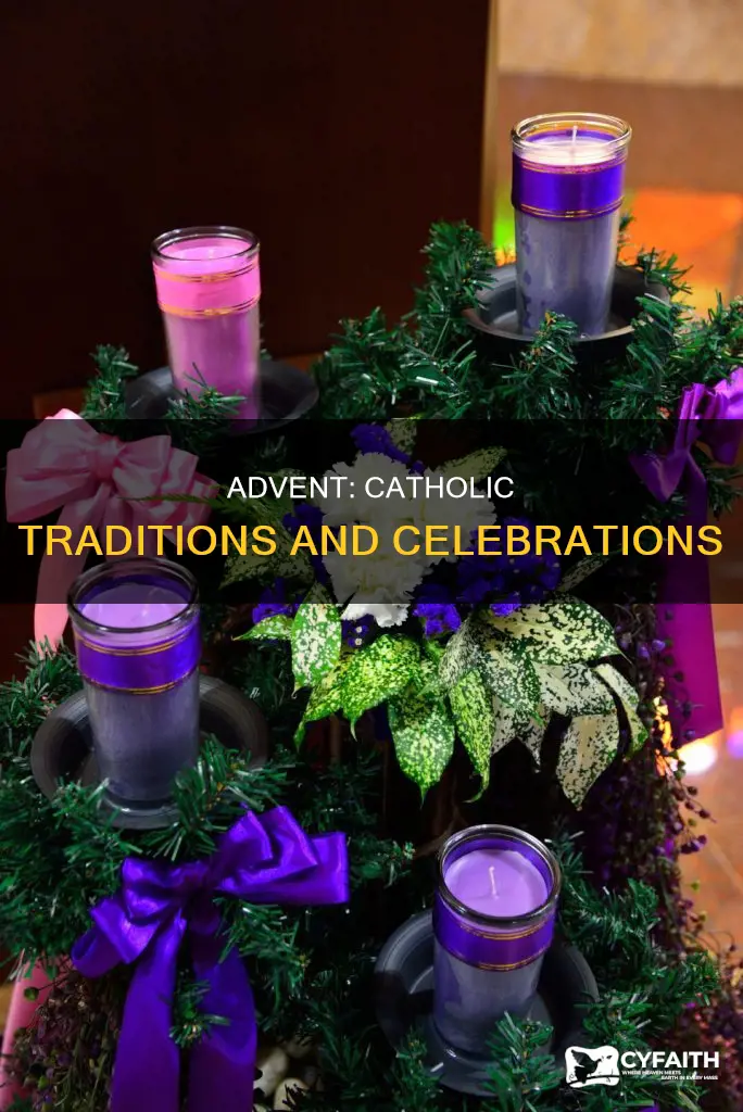 is the advent season celebrated by catholics