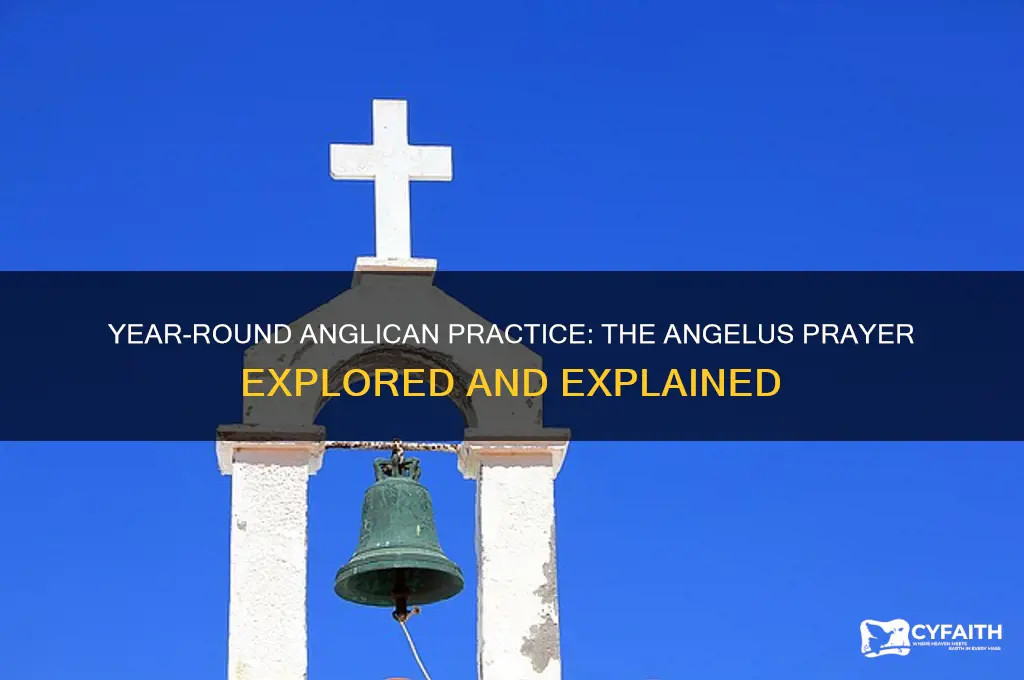 is the angelus said year-round anglican