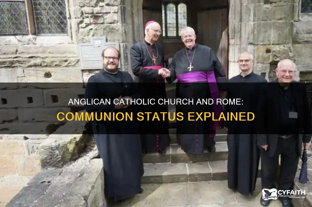 is the anglican catholic church in communion with rome