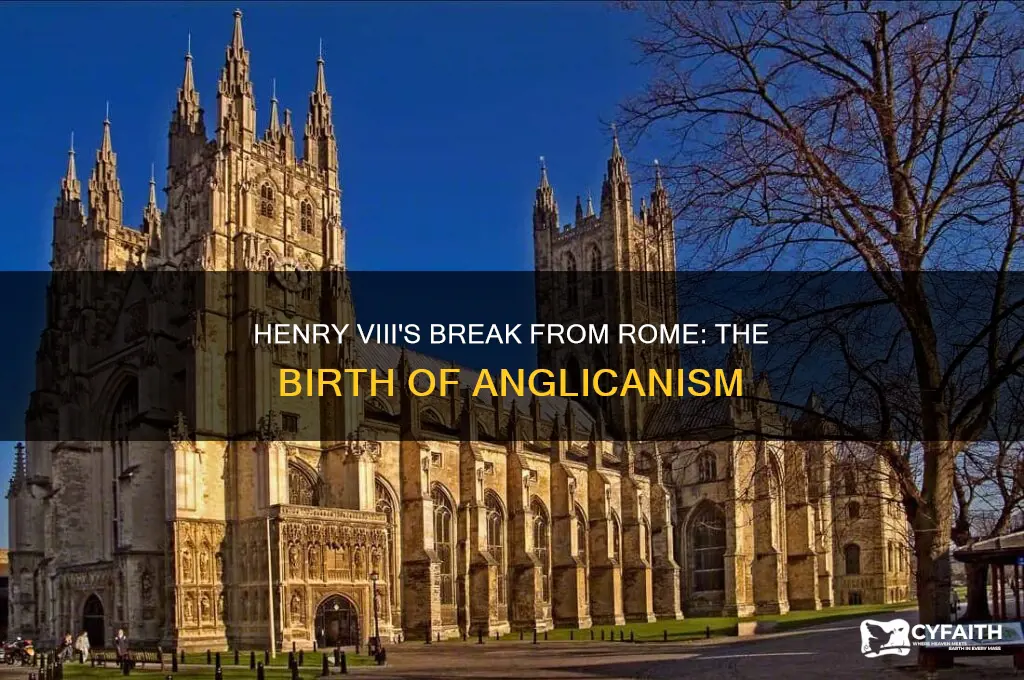 is the anglican church a result of henry viii
