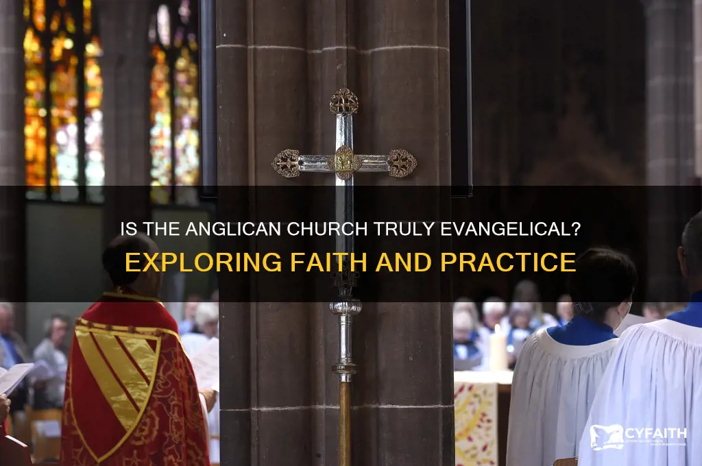 is the anglican church evangelical
