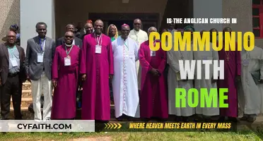 Anglican-Rome Communion: Unity, Divisions, and Ecumenical Dialogue Explored