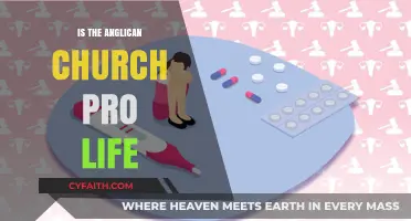 Is the Anglican Church Pro-Life? Exploring Its Stance on Abortion