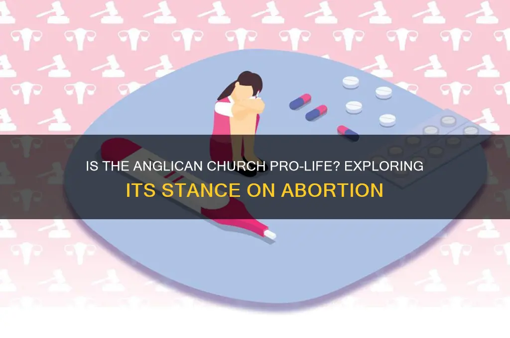 is the anglican church pro life