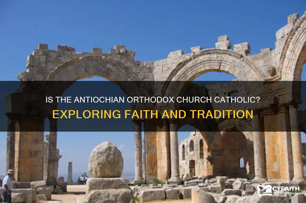 is the antiochian orthodox church catholic