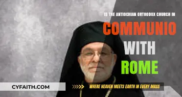 Antiochian Orthodox Church and Rome: Are They in Communion?