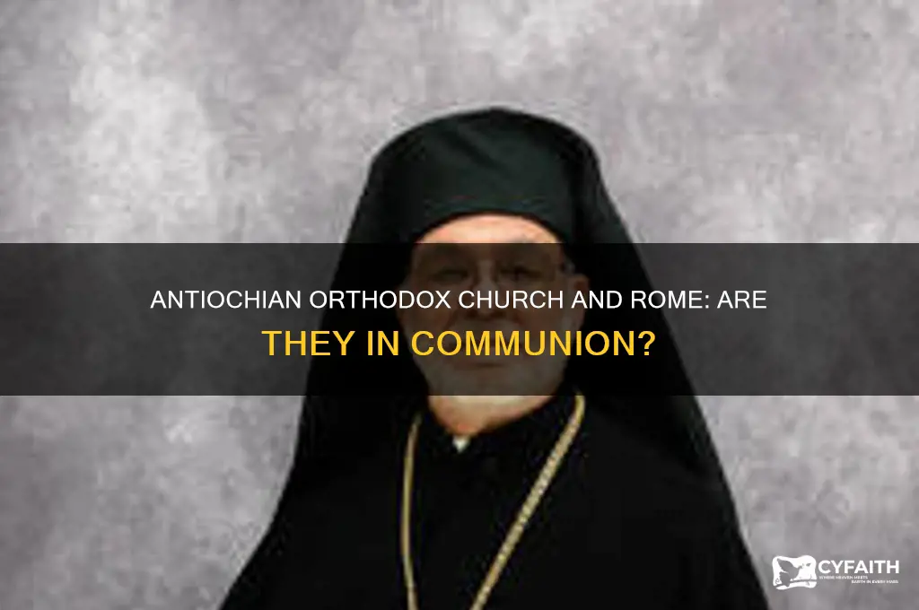 is the antiochian orthodox church in communion with rome
