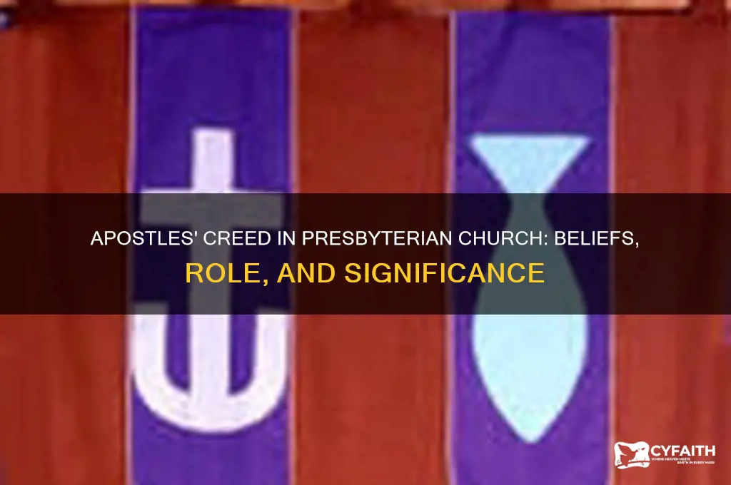 is the apostles creed in the presbyterian church