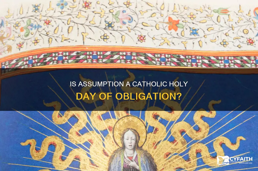 is the assumption a catholic holy day of obligation