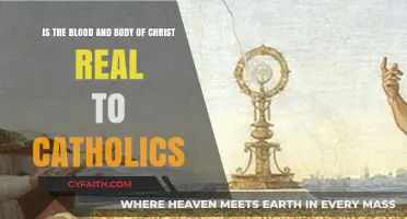 The Real Presence: Catholics' Belief in Christ's Blood and Body