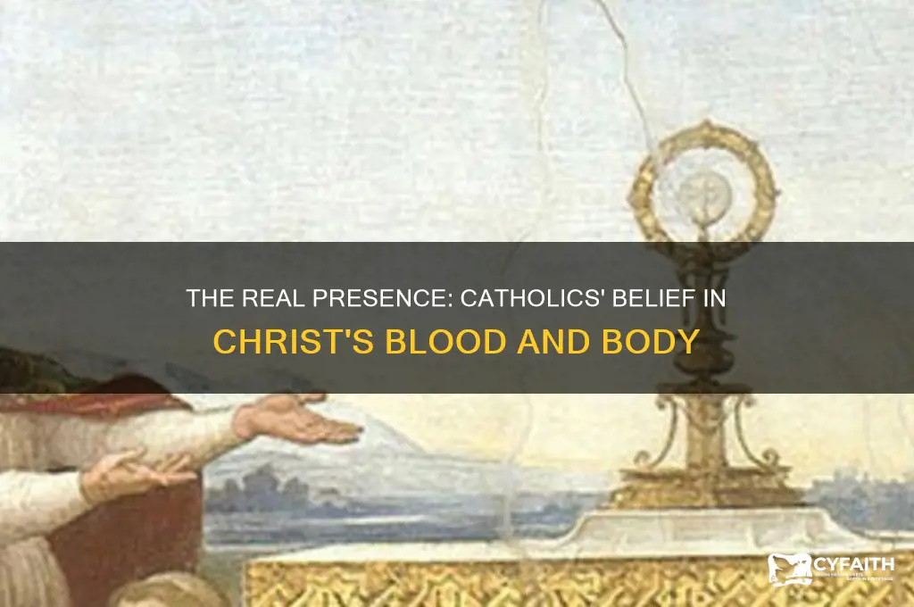 is the blood and body of christ real to catholics