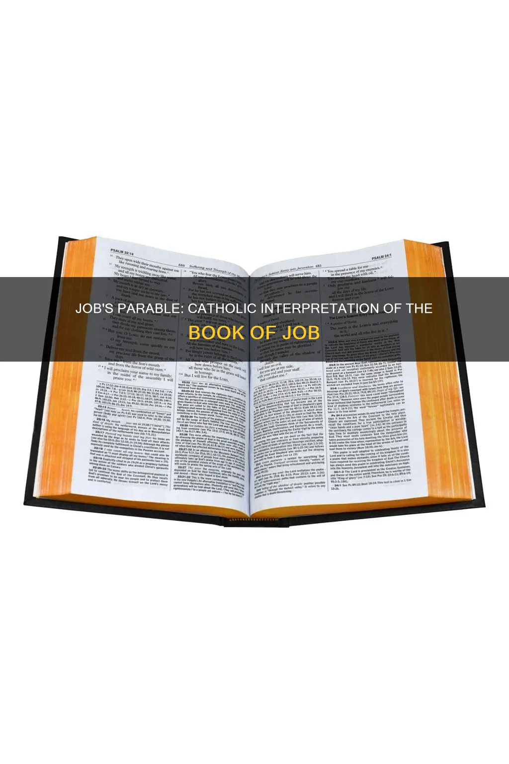 is the book of job a parable catholic