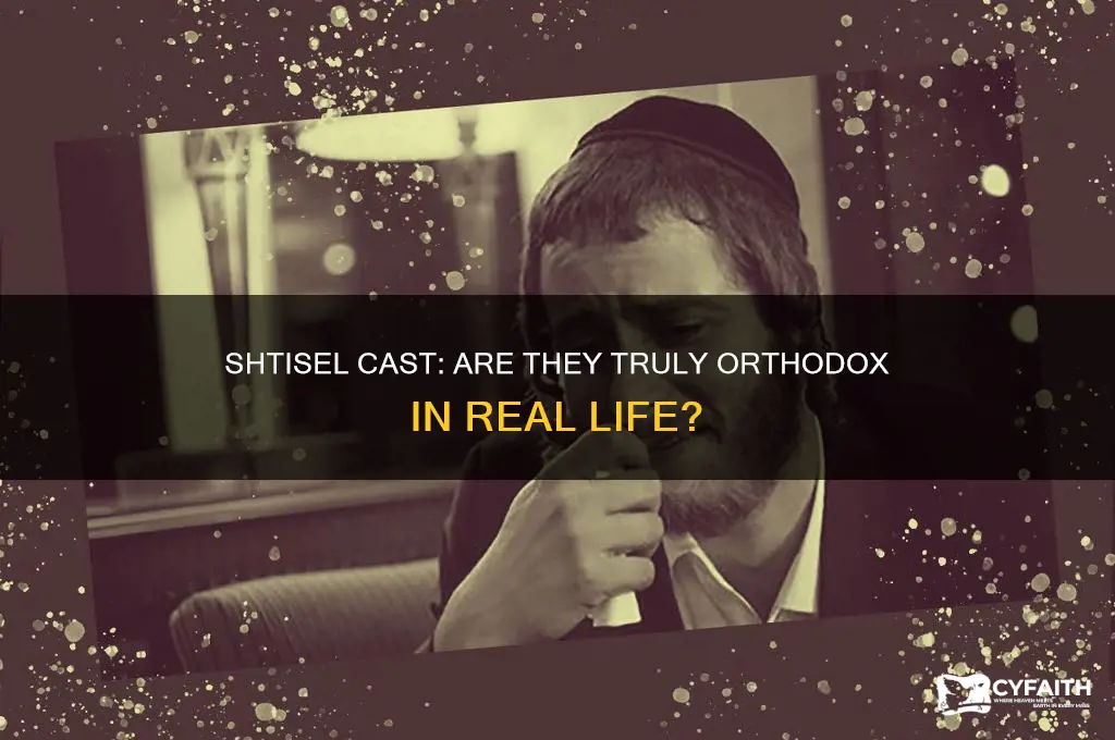 is the cast of shtisel orthodox