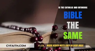 Catholic vs. Orthodox Bible: Key Differences and Similarities Explained