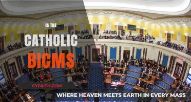 Exploring the Catholic Bicameral Structure: Unity, Hierarchy, and Tradition