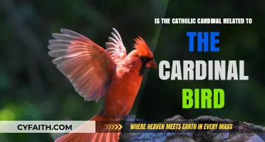 Catholic Cardinal vs. Cardinal Bird: Unraveling the Surprising Connection