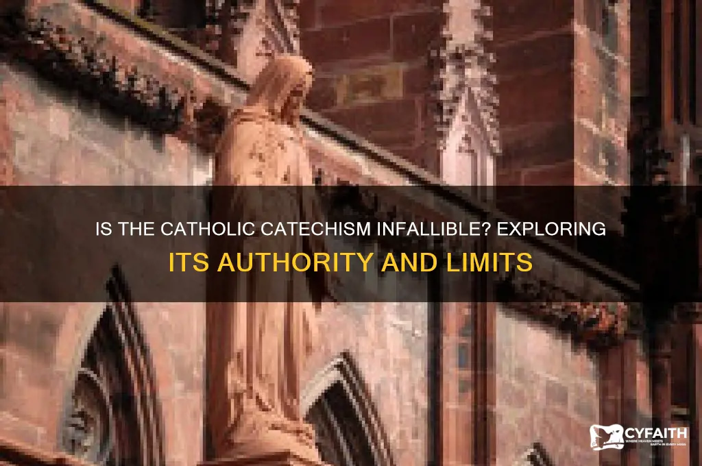 is the catholic catechism infallible