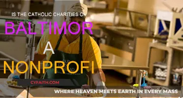 Baltimore's Catholic Charities: Nonprofit Helping the Community
