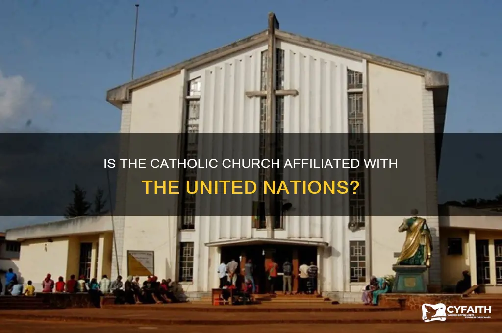 is the catholic churh part of the united nations