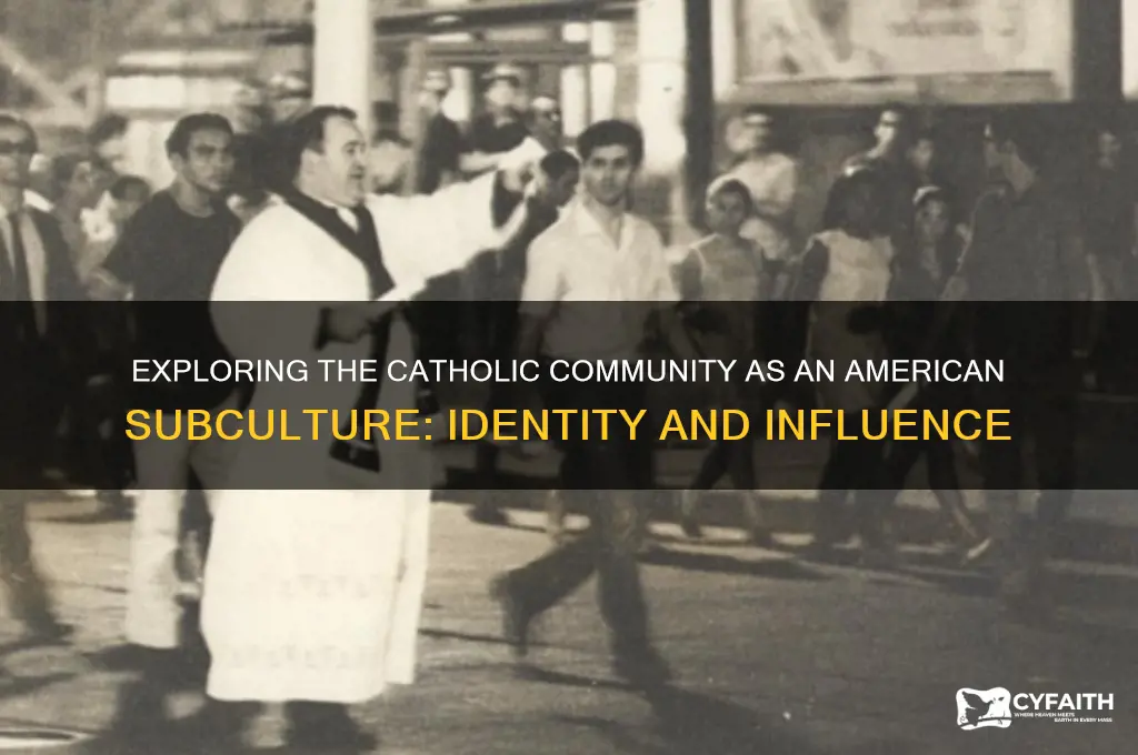 is the catholic community an example of an american subculture