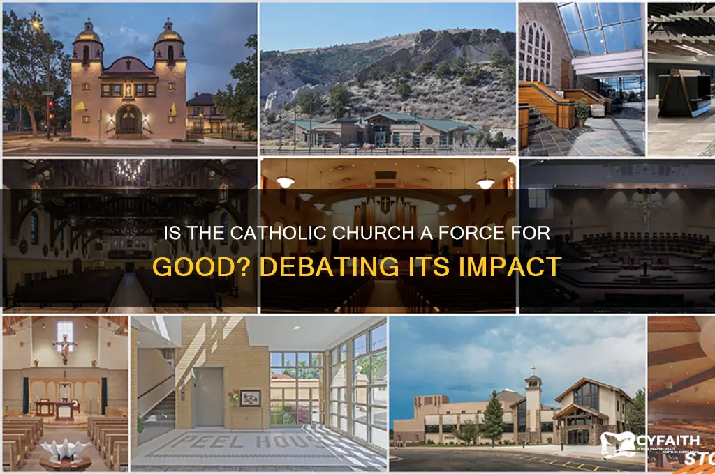 is the catholic curch a force for good debate