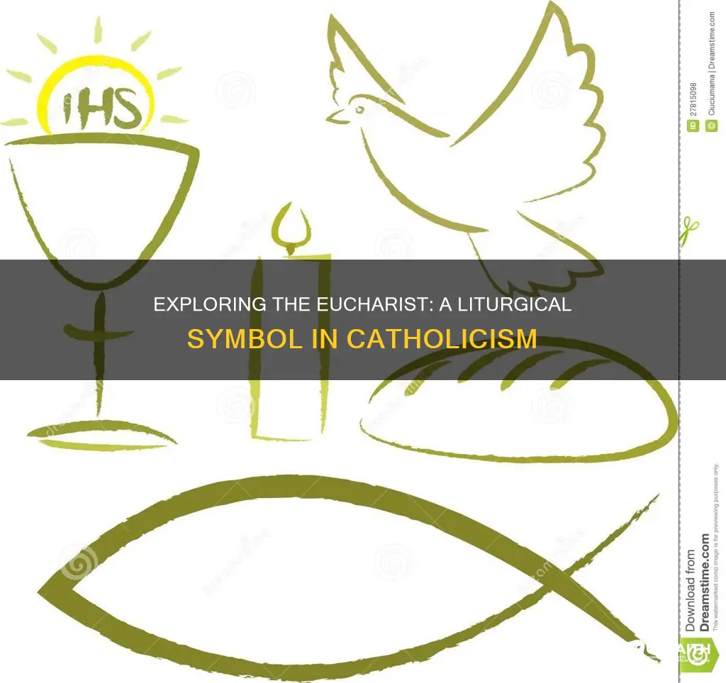 is the catholic eucharist a liturgical symbol