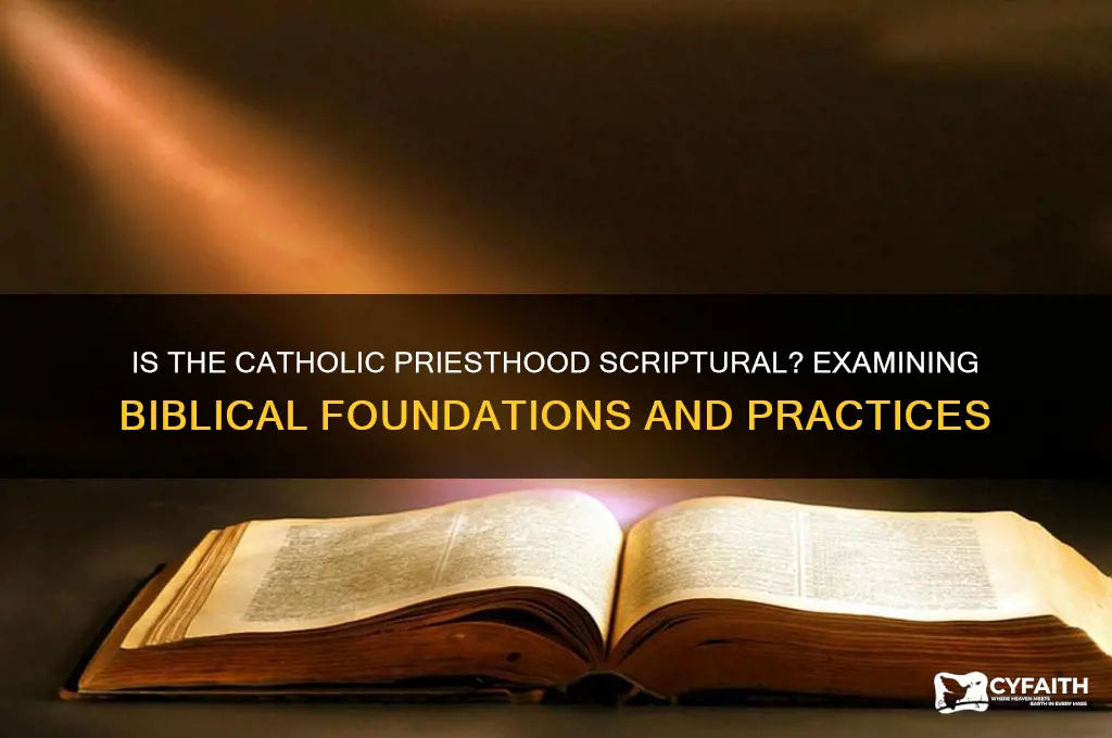 is the catholic priesthood scriptural