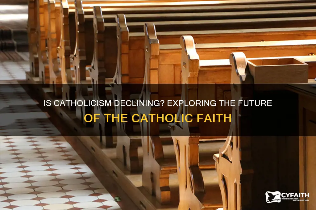 is the catholic religion dying