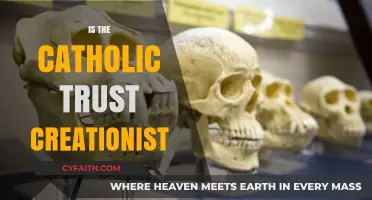 Catholic Church's Stance on Creationism: Unraveling the Trust's Beliefs