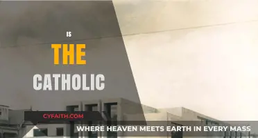 Is the Catholic Church Evolving with Modern Society's Values?