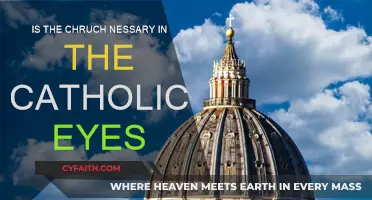 The Church: A Catholic's Necessary Haven