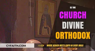 Is the Church Divine? Exploring Orthodox Theology and Tradition