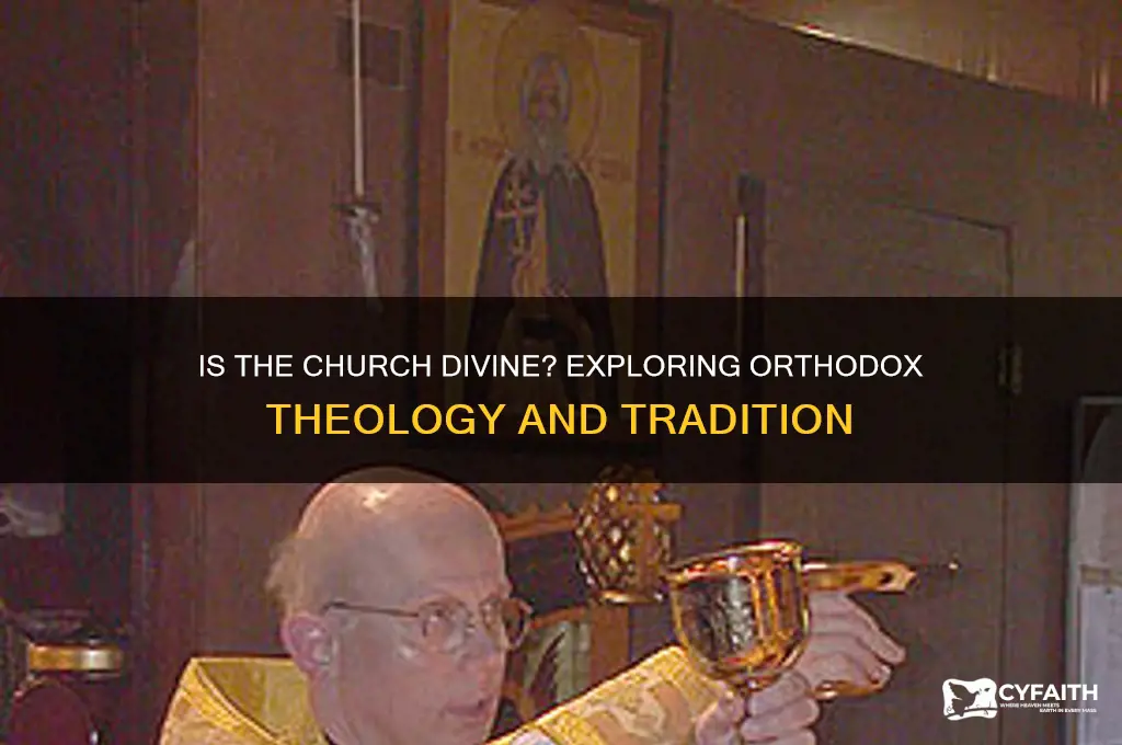 is the church divine orthodox