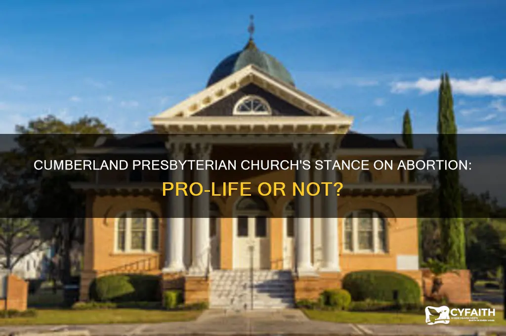 is the cumberland presbyterian church pro-life