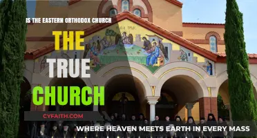 Is the Eastern Orthodox Church the True Church?