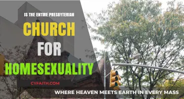 Presbyterian Church's Stance on Homosexuality: Unity or Division?