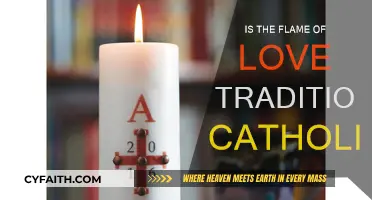 The Flame of Love: Traditional Catholic Teaching?