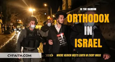 Exploring Hardim Orthodoxy: Israel's Religious Landscape and Cultural Identity