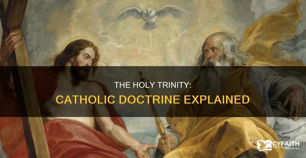 is the holy trinity catholic doctrine