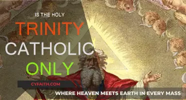 The Holy Trinity: Catholic Beliefs and Beyond