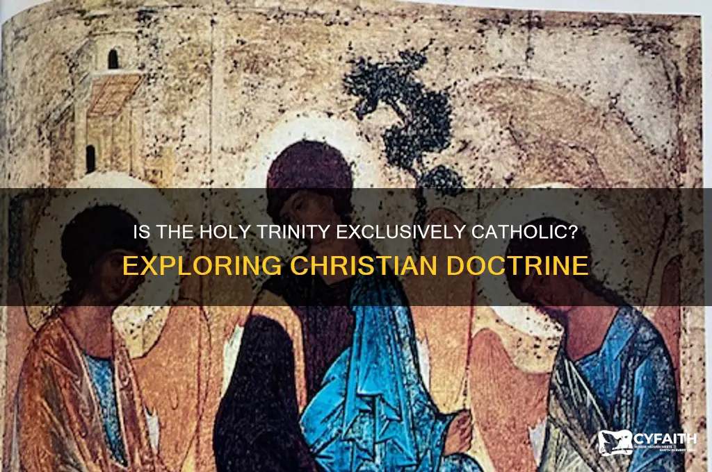 is the holy trinity catholic