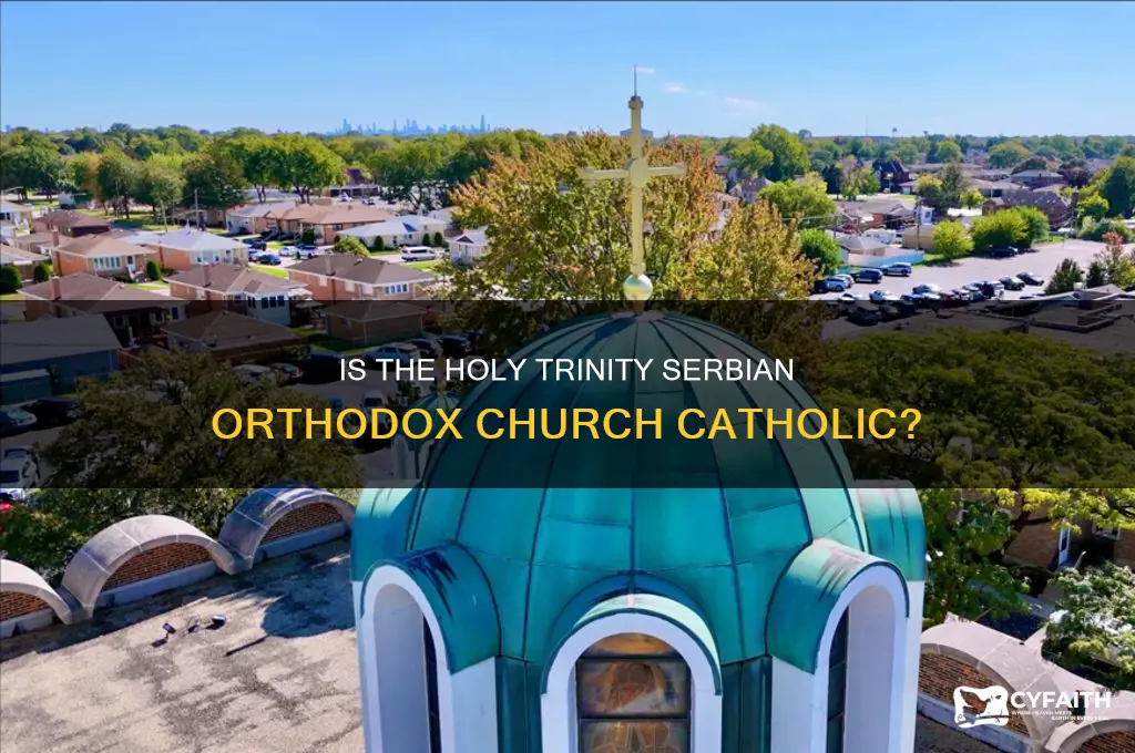 is the holy trinity serbian orthodox church catholic