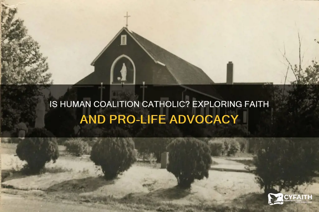 is the human coalition catholic