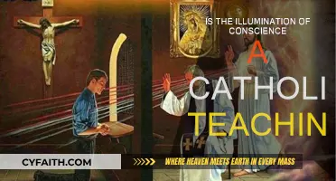 The Illumination of Conscience: Catholic Teaching or Not?
