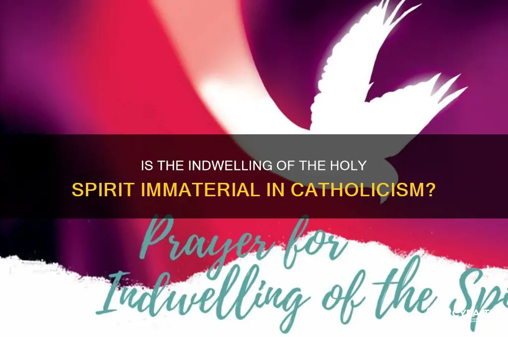 is the indwelling of the holy spirit immaterial catholic