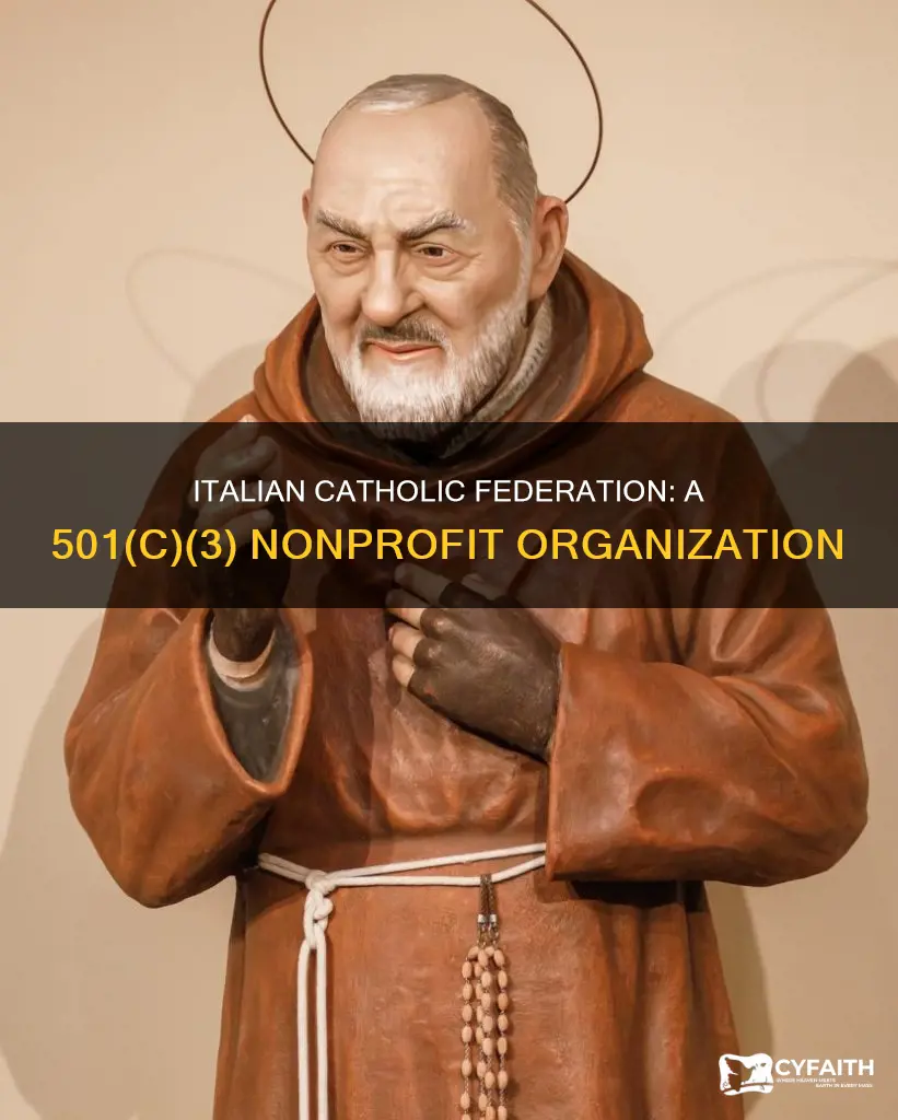 is the italian catholic federation a 501c3