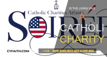 The Living Vine: A Catholic Charity's Mission