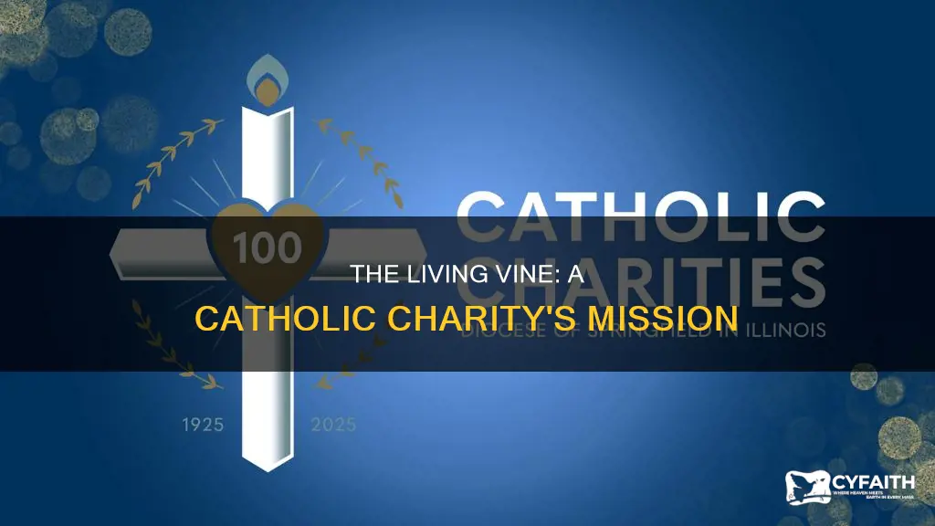 is the living vine a catholic charity